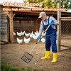 Chicken Coop Accessories