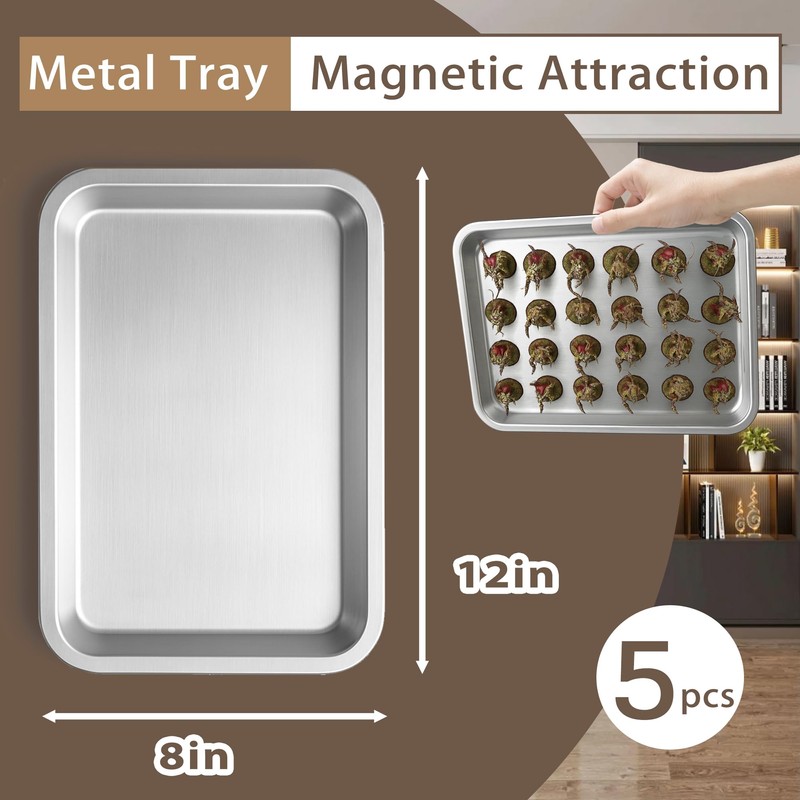 Miniature Storage Case for Collectibles Miniatures, Wooden Miniature Display Cases