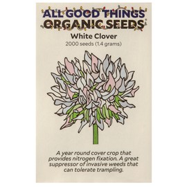 All Good Things Organic White Clover Seeds for Planting: Perennial Cover Crop, White Nitrogen Fixing Flower - 2,000 Seed Packet