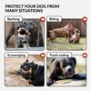 CollarDirect Pitbull Dog Muzzle Leather Amstaff Muzzles Staffordshire Terrier Secure