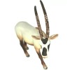 MOJO TOYS Oryx, Scimitar-horne
