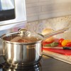 Ecolution Stainless Steel Sauce Pan, Encapsulated Induction Ready Cooking Pot