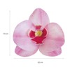 DEKORA Conf. 10 Orchidee in Cialda Decorazioni Commestibili per Torte,