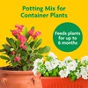 Miracle-Gro 2 Pack Potting Soil Mix for Container Plants, Flowers,
