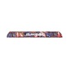DAKINE AERO Rack Pads 28IN