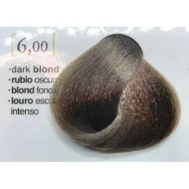 SalermVision 6.00 Dark Blond Permanent Hair Color 2.3oz