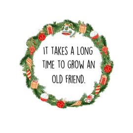 It Takes A Long Time to Grow an Old Friend Wall Mural Cute Birthday Graduation Gifts Present Tumblers Wall Sticker Vinyl Wall Stickers Quotes for Living Room Bathroom Playroom Home Decorations 18in