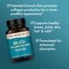 Mercola Suplemento Dietético Colágeno Sílice Porciones Cápsulas Omg Gluten Soja
