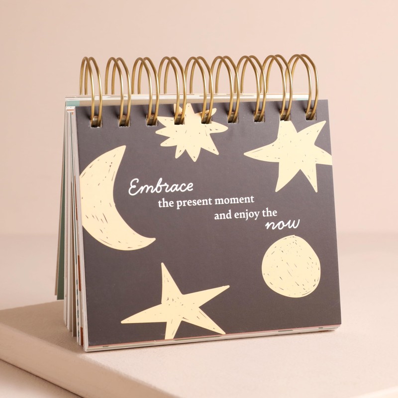 Lisa Angel Daily Mindfulness Flip Chart | 52 Prompts for