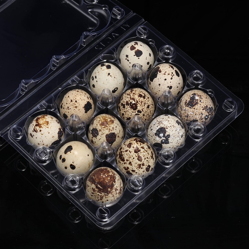 60 Pcs Quail Egg Cartons, Square Dozen Egg Boxes, Classical