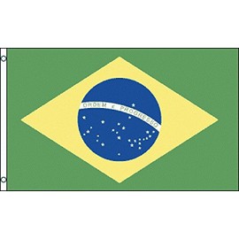 Brazil Outdoor Nylon Flag 3x5 ft Printed Flag with Image on Both Sides and 2 Grommets (Brazil)