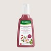 RAUSCH [Rausch] Wild Rose Color-Protecting Shampoo for perm-dyed hair 200ml