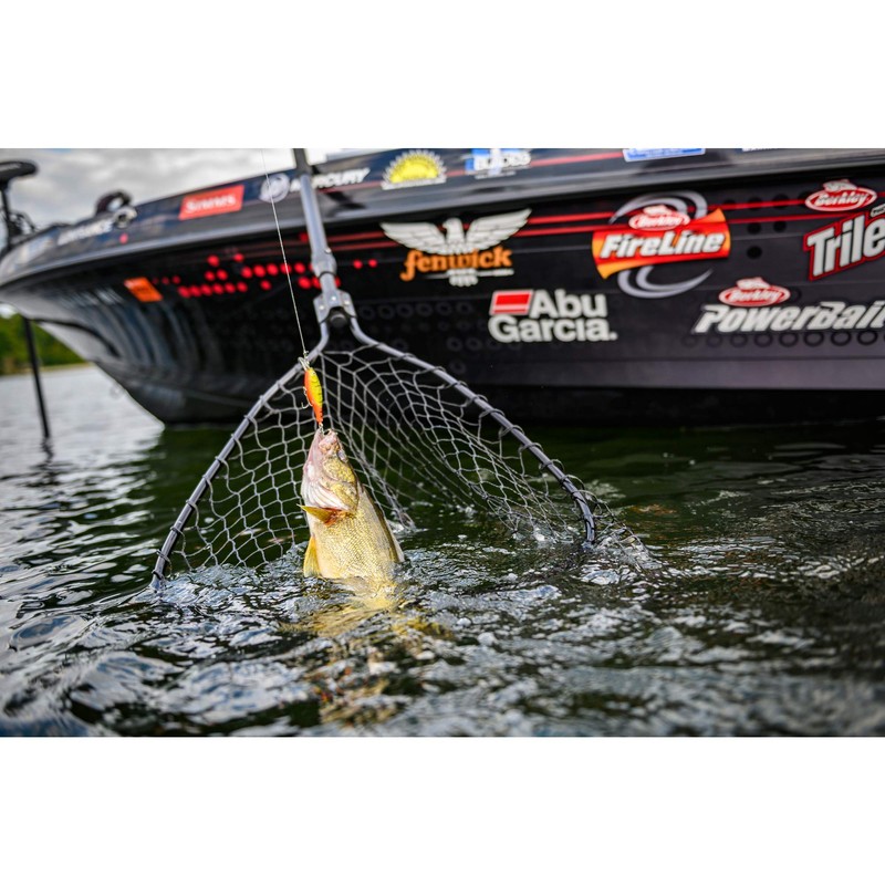 Berkley CURRICAN Flicker SHAD FFSH7S-FTHP