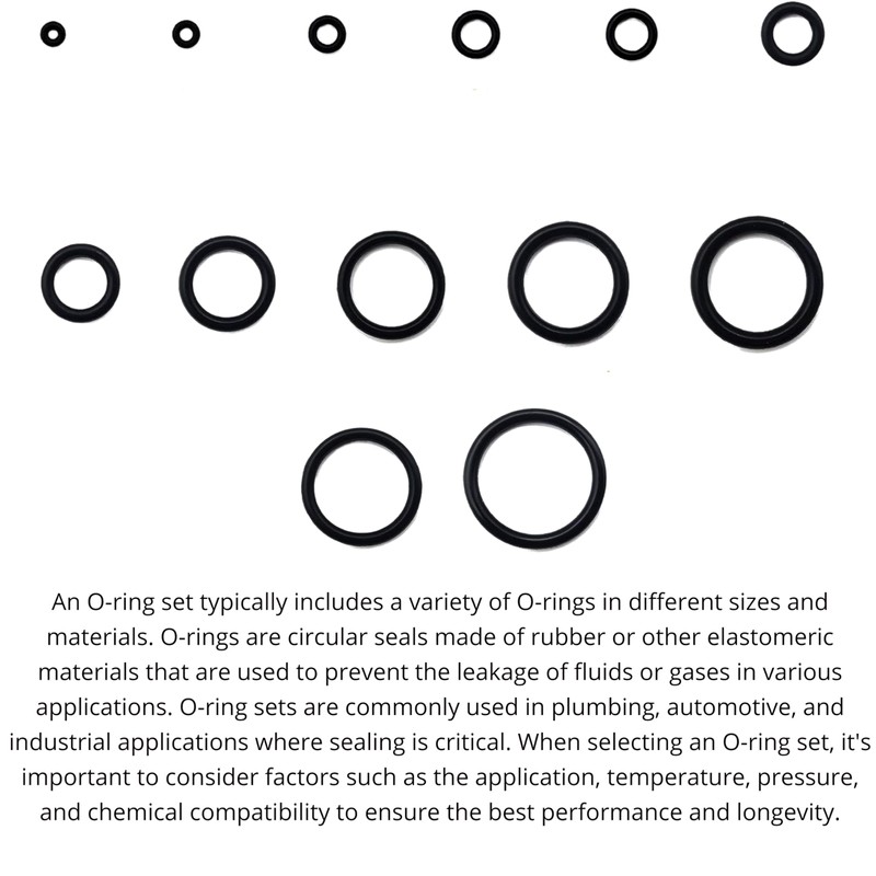 Lizzy 50 Pcs O-Rings Gasket Kit | 12 Sizes Rubber