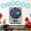 Vont Digital & Mechanical Kitchen Scale w/LCD Screen, 304 Food