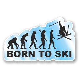 2 x 10cm Born to Ski Vinyl Sticker Laptop Helmet Skiing Mountains Fun #6592 (10cm Wide x 6cm Tall)