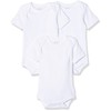 Schnizler Unisex Baby Bodysuit Short Sleeves Pack of 3 Plain