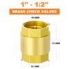 GASHER 1PCS Brass Check Valve 1-1/2" Female Thread, Backflow Prevention,