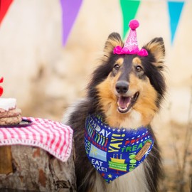 LyssKMK Happy Birthday Reversible Dog Bandanas Adjustable Triangle Bibs Scarf for Dogs Puppy Beautiful Birthday Costume Animals & Letters Pattern Bandanas Fits Medium to Large Dogs (3PCS)