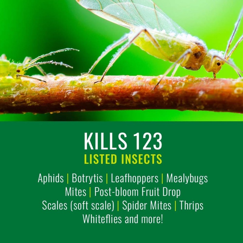 NATRIA Neem Oil Spray for Plants, Concentrate, 24 oz