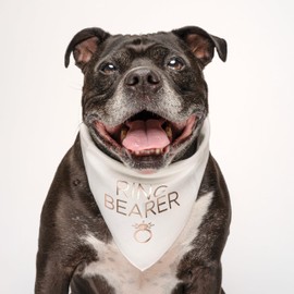 Ring Bearer Metallic Printed Dog Bandana | 100% Cotton Adjustable Triangle | Wedding Photo Prop | Bridal Shower | Engagement Announcement |White, Silver Foil (1319)