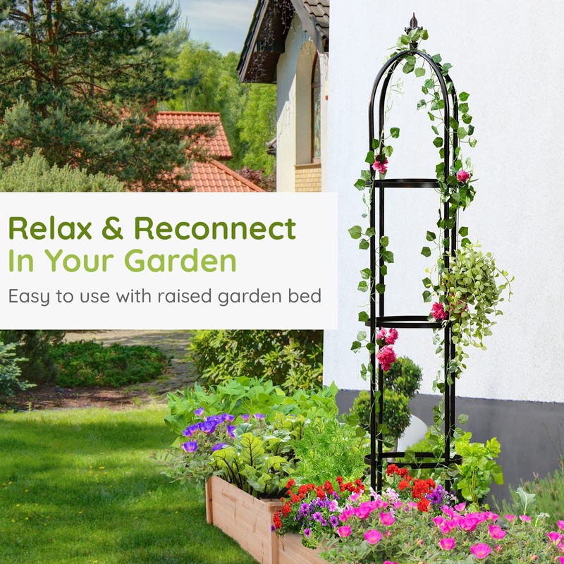 Idzo 100% Metal Obelisk Trellis for Climbing Plants Outdoor 6ft