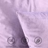 Set of 2 Soft Velvet Cushion Covers 45 x 45