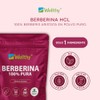 Wellthy Berberina Pura Cápsulas 100 Berberis Aristata 500mg Dias Consumo