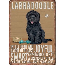Small (150 x 200mm) Metal Sign - Black Labradoodle