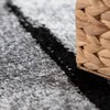 Black White Area Rug with Geometric Pattern and Modern Paint