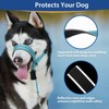 BARKLESS Dog Head Collar, Reflective Head Halter for Small Medium
