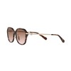 Coach HC8332D Women's Sunglasses, DARK TORTOISE