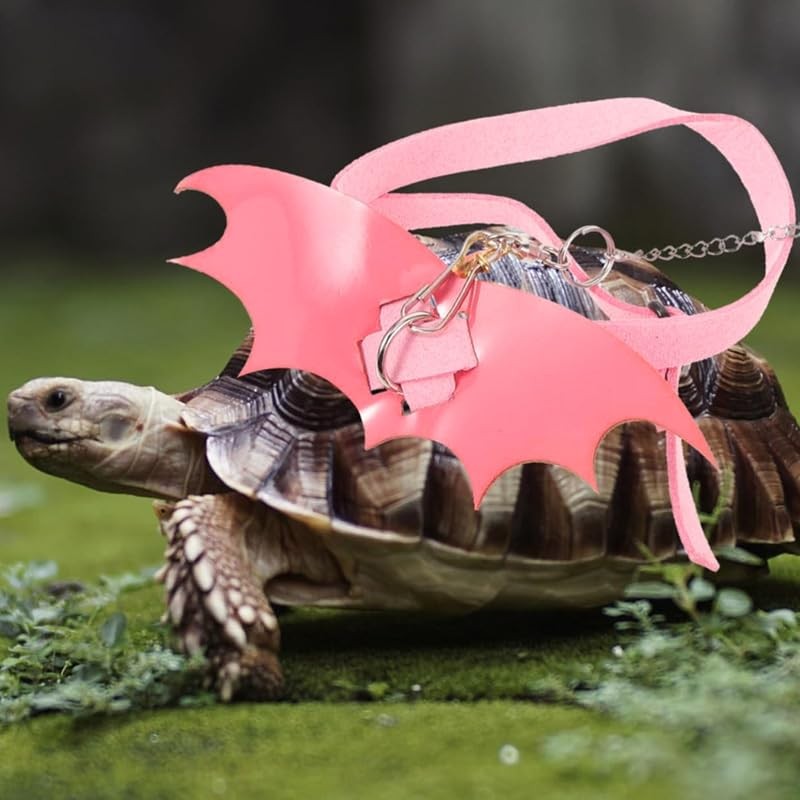 hokable Turtle Harness and Leash with Wings- Harness Strap Chest