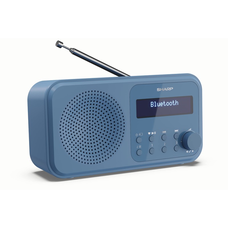 SHARP DR-P420 Portable Digital Radio (DAB/DAB+/FM with RDS, USB, Bluetooth