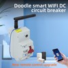 Smart WiFi Circuit Breaker Voice Speaker Mobile Remote Control 1P