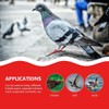 AIMALL 100 PCS Pigeon Bayonet Digital Foot Ring, 10mm Pigeon