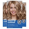 Clairol Lasting Colour Permanent Hair Dye | Perfect Grey Coverage