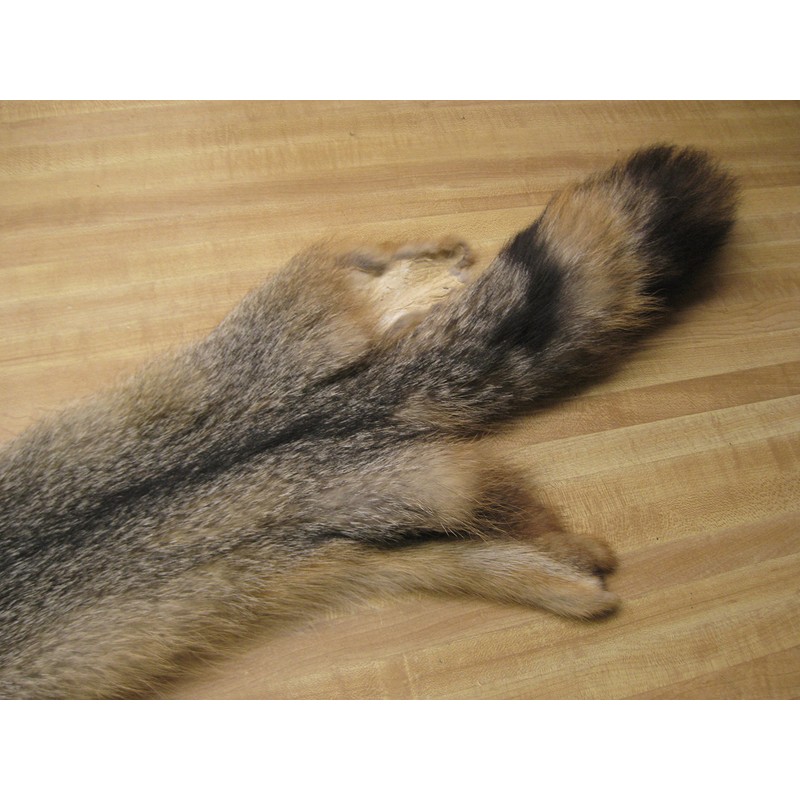 Tanned Grey Fox Hide # 2 Quality Fur
