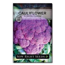 Sow Right Seeds - Di Sicilia Violetto Cauliflower Seeds for Planting - Non-GMO Heirloom Packet with Instructions to Plant & Grow an Outdoor Home Vegetable Garden - Deep Purple Cold Hardy Vegetable (1)