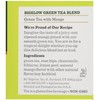 Bigelow Tea Green Tea with Mango, 20 ct