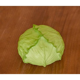 Elegantflower Lifelike Realistic and Cubic Food Sample Interior Display, Food Vegetables Cabbage 1 Pcs