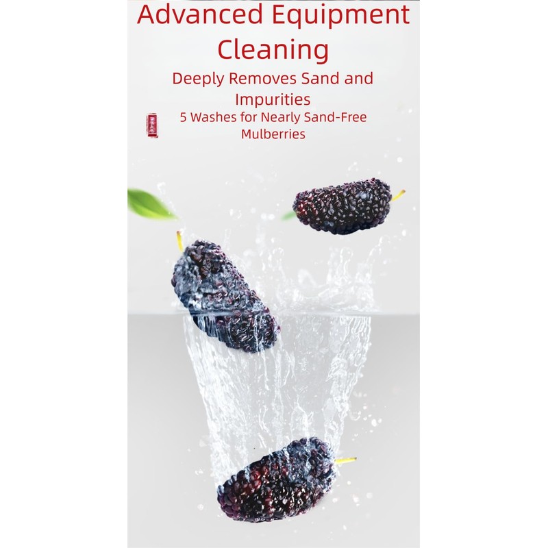 Dried Black Mulberries, No-Wash Dried Mulberry Fruit, Large,Traditional Whole Dried