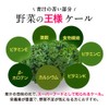 【鹿児島県産】オーガランド ケール 粉末 100g 青汁 ケールパウダー ケール青汁 加熱殺菌加工済