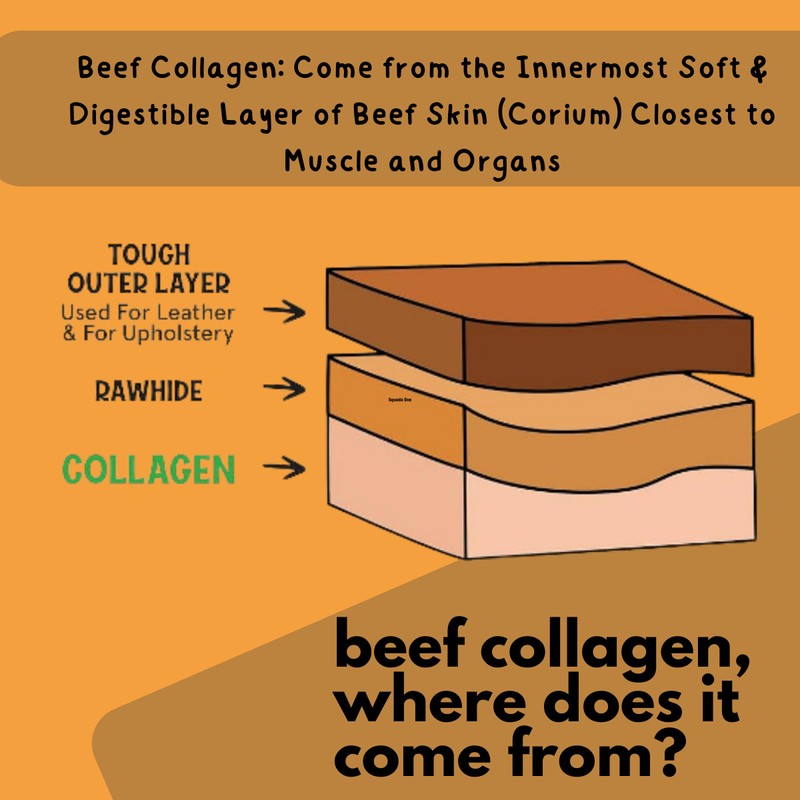 Cowdog Chews Collagen Sticks 12" (5 Pack) - Odor-Free, All