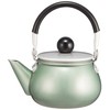 Maekawa Metal Rainbow Teapot, Green