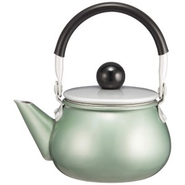 Maekawa Metal Rainbow Teapot, Green