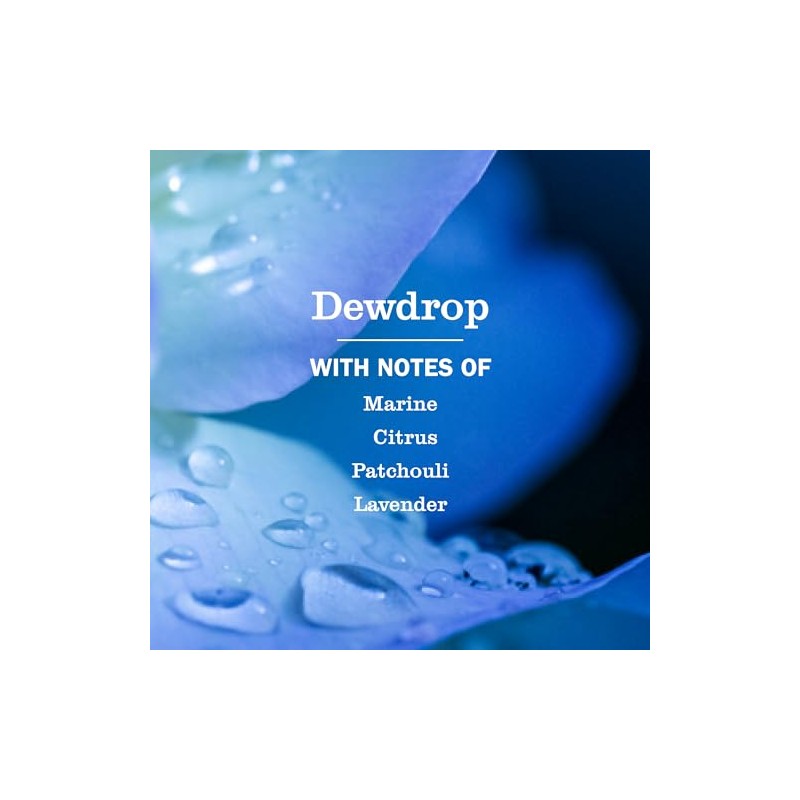 Mrs. MEYER'S CLEAN DAY Liquid Hand Soap, Dewdrop Scent, 12.5