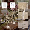 Birch Tree with LED Lights Set of 4, Lighted Birch