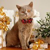 Christmas Collar Dog Cat Christmas Collar Christmas Collar with Removable