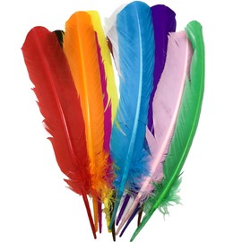 24Pcs Colorful Turkey Feathers 10-12 inches Long,12 Colors,Bulk Beautiful Colored Natural Feather for Crafts (26-31cm),for Wedding Dress and Party Decoration,DIY Fabricating Handicraft Article (Colorful)